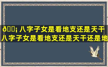 🐡 八字子女是看地支还是天干（八字子女是看地支还是天干还是地支）